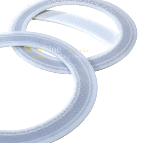 حشية PTFE مع قلب من الفولاذ المقاوم للصدأ 304